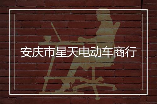 安庆市星天电动车商行