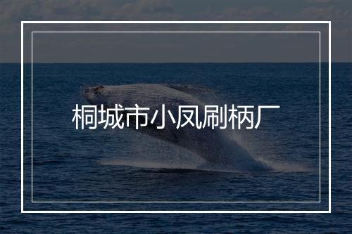 桐城市小凤刷柄厂