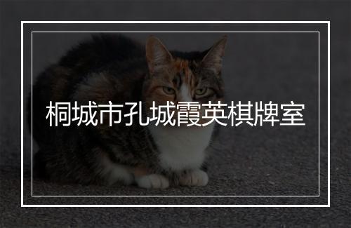 桐城市孔城霞英棋牌室