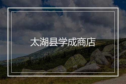 太湖县学成商店