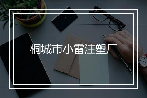 桐城市小雷注塑厂