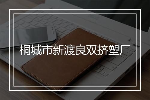 桐城市新渡良双挤塑厂