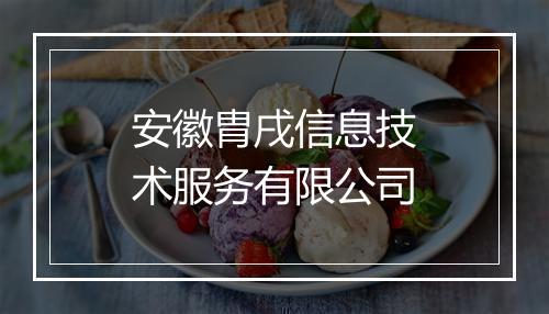 安徽胄戌信息技术服务有限公司