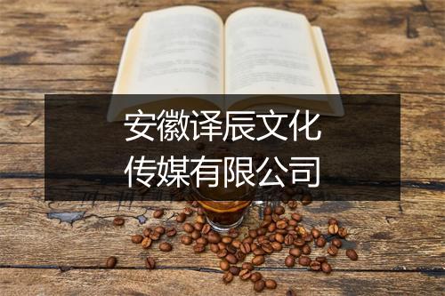 安徽译辰文化传媒有限公司