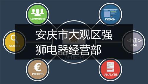 安庆市大观区强狮电器经营部