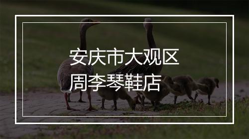 安庆市大观区周李琴鞋店