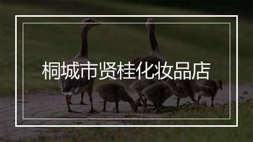 桐城市贤桂化妆品店