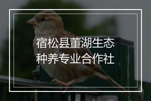 宿松县董湖生态种养专业合作社