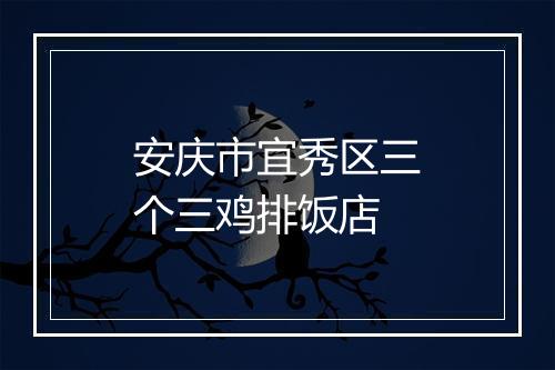 安庆市宜秀区三个三鸡排饭店