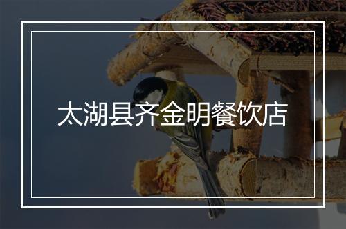 太湖县齐金明餐饮店