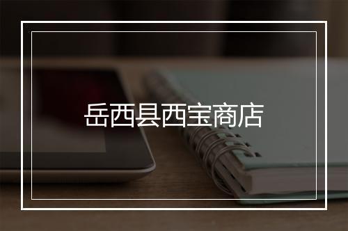岳西县西宝商店