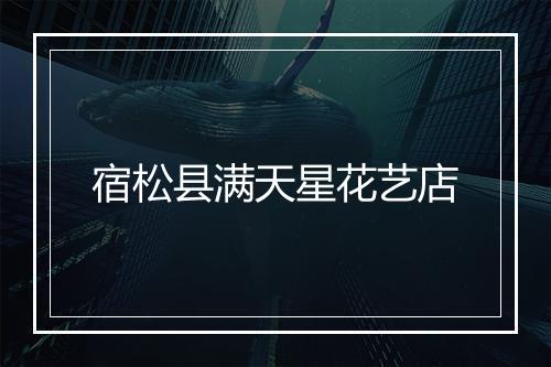 宿松县满天星花艺店