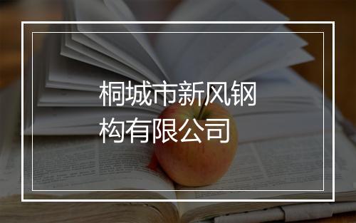 桐城市新风钢构有限公司