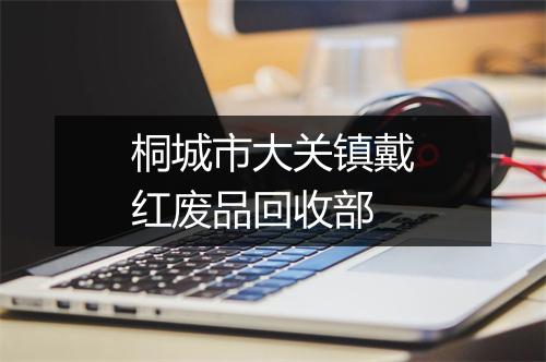 桐城市大关镇戴红废品回收部