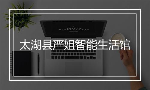 太湖县严姐智能生活馆