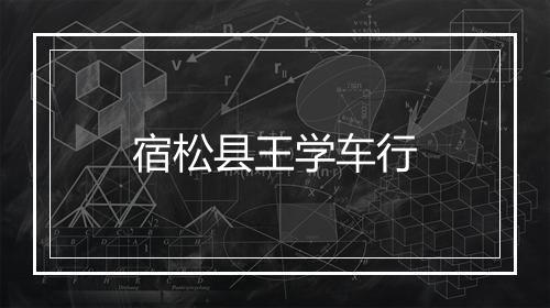 宿松县王学车行
