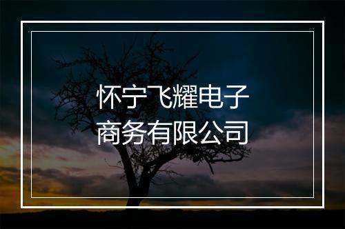怀宁飞耀电子商务有限公司