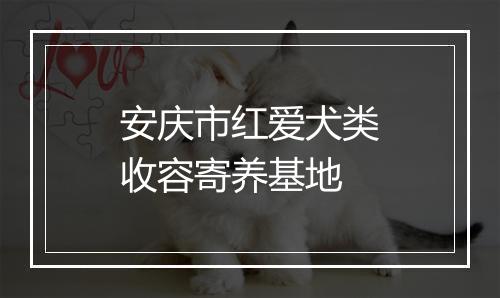 安庆市红爱犬类收容寄养基地