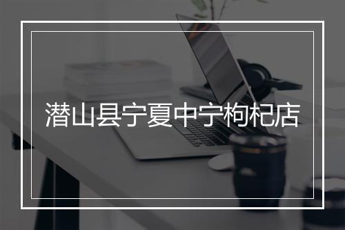 潜山县宁夏中宁枸杞店