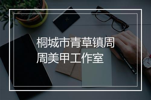 桐城市青草镇周周美甲工作室