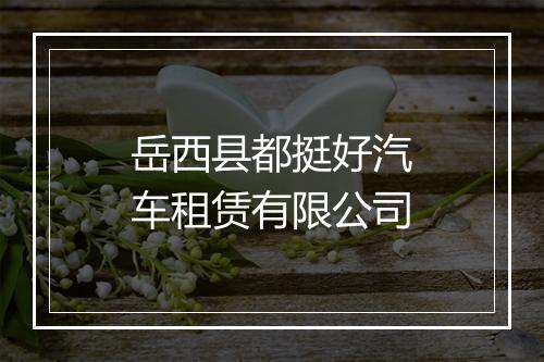 岳西县都挺好汽车租赁有限公司