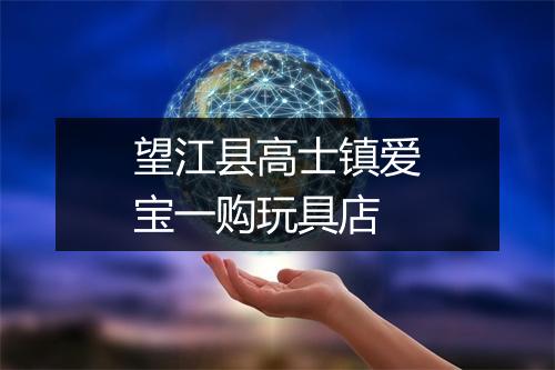 望江县高士镇爱宝一购玩具店