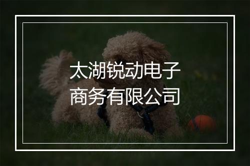 太湖锐动电子商务有限公司
