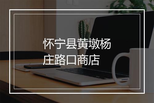 怀宁县黄墩杨庄路口商店