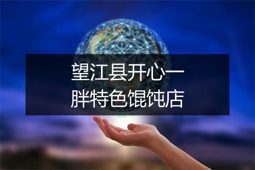 望江县开心一胖特色馄饨店
