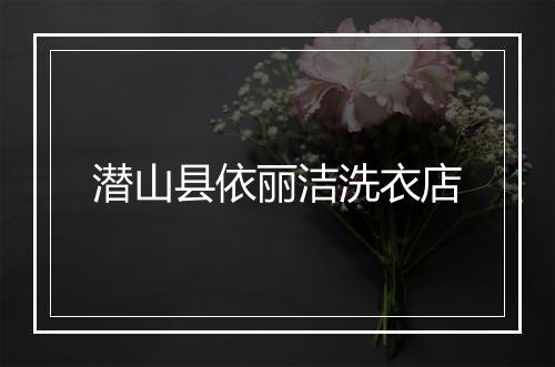 潜山县依丽洁洗衣店