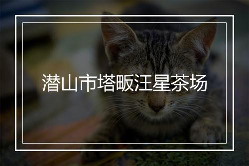 潜山市塔畈汪星茶场