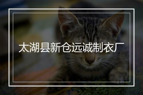 太湖县新仓远诚制衣厂