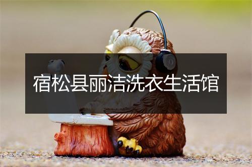宿松县丽洁洗衣生活馆