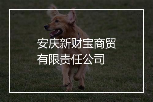安庆新财宝商贸有限责任公司