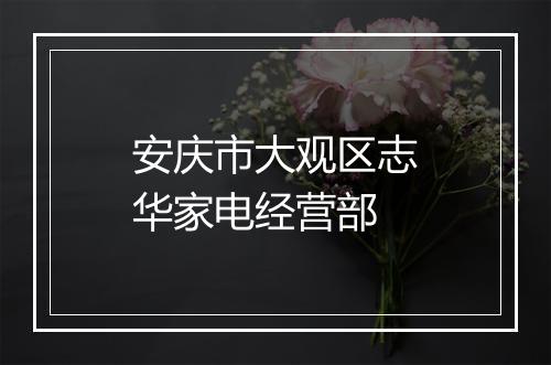 安庆市大观区志华家电经营部