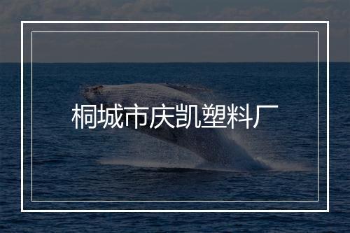 桐城市庆凯塑料厂