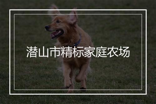 潜山市精标家庭农场