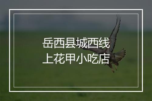 岳西县城西线上花甲小吃店