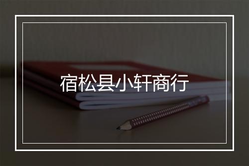 宿松县小轩商行