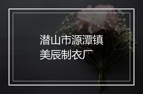潜山市源潭镇美辰制衣厂