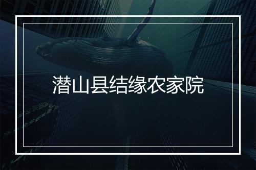 潜山县结缘农家院
