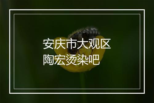 安庆市大观区陶宏烫染吧