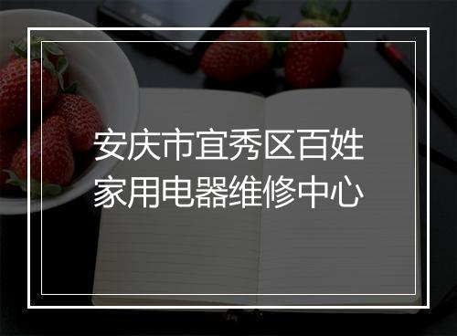 安庆市宜秀区百姓家用电器维修中心