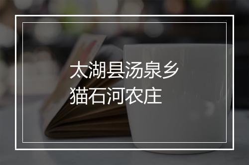 太湖县汤泉乡猫石河农庄