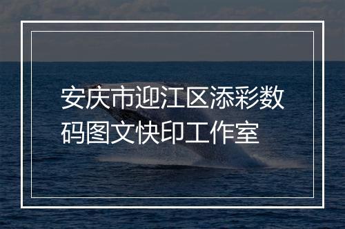安庆市迎江区添彩数码图文快印工作室