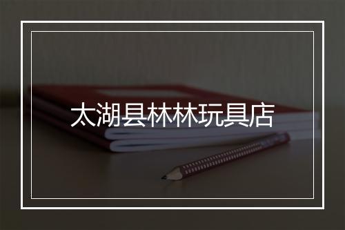 太湖县林林玩具店