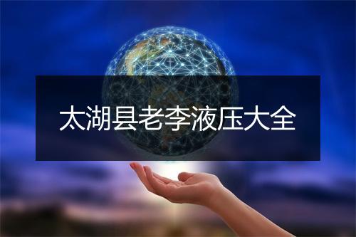 太湖县老李液压大全