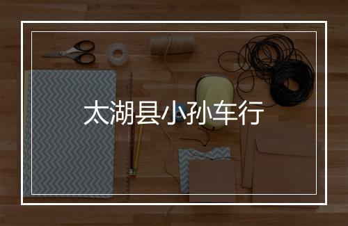 太湖县小孙车行