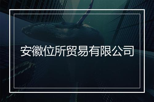 安徽位所贸易有限公司
