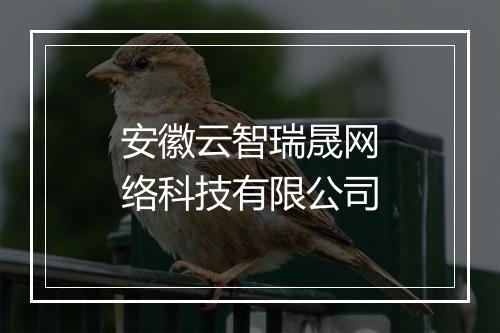 安徽云智瑞晟网络科技有限公司
